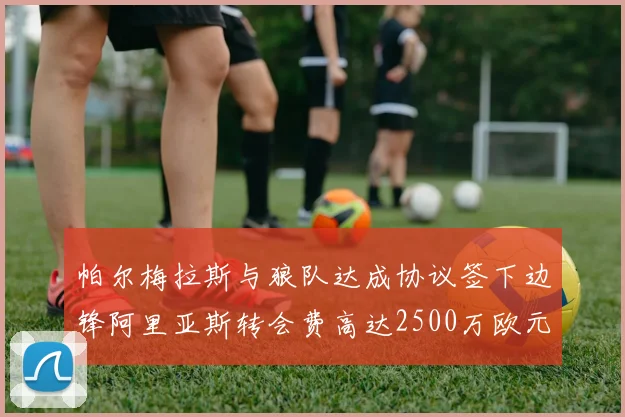 帕尔梅拉斯与狼队达成协议签下边锋阿里亚斯转会费高达2500万欧元