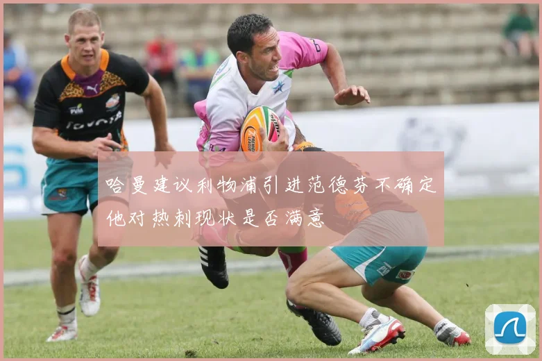 哈曼建议利物浦引进范德芬不确定他对热刺现状是否满意