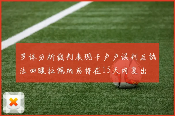 罗体分析裁判表现卡卢卢误判后执法回暖拉佩纳或将在15天内复出